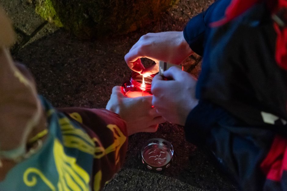 Prie Prezidentūros protestuotojai piktinosi aplinkosaugos padėtimi