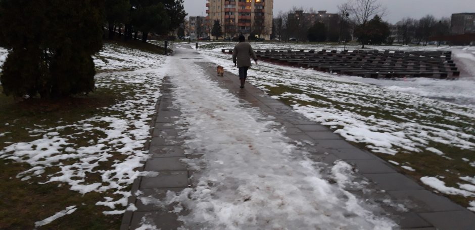 Kaunietis: šventinę nuotaiką temdo šunų išmatomis apdergti šaligatviai