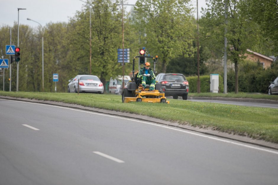 Sostinėje prasidėjo žolės šienavimas