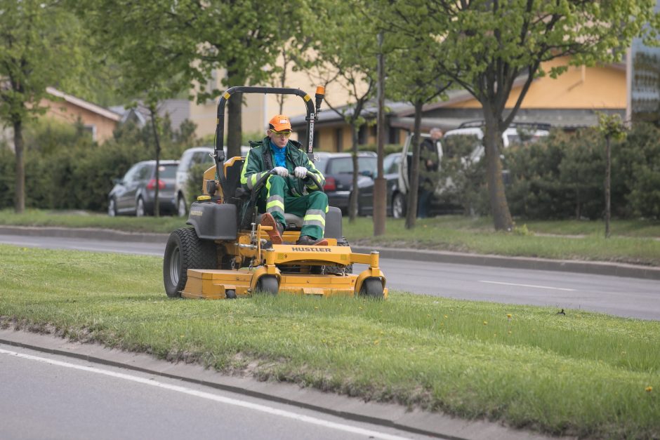 Sostinėje prasidėjo žolės šienavimas