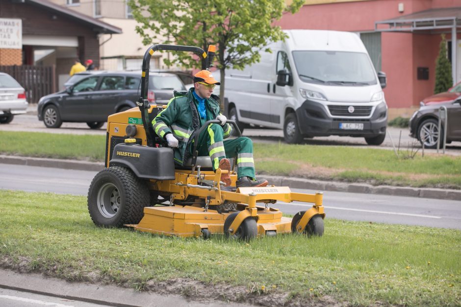 Sostinėje prasidėjo žolės šienavimas