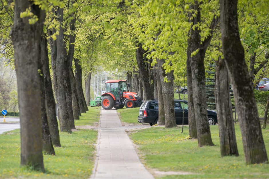 Sostinėje prasidėjo žolės šienavimas