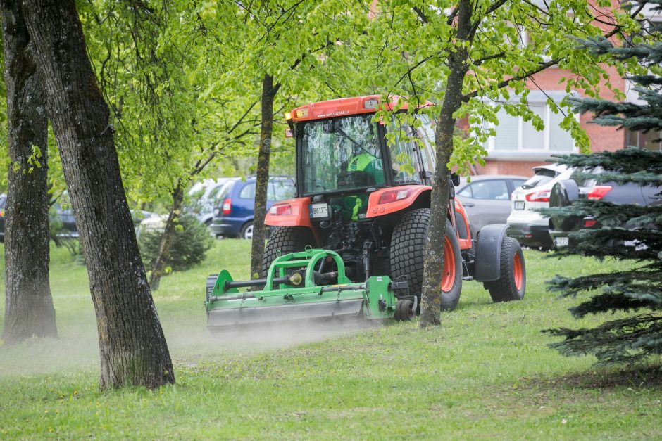 Sostinėje prasidėjo žolės šienavimas