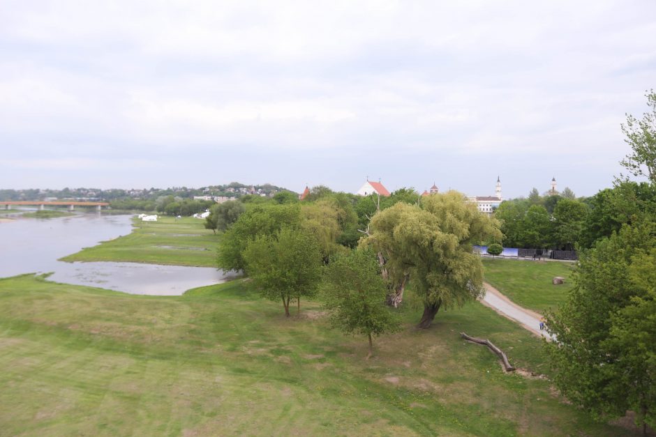 Santakos parke atvertas apžvalgos bokštas: upių vaizdas iš viršaus tiesiog kerintis