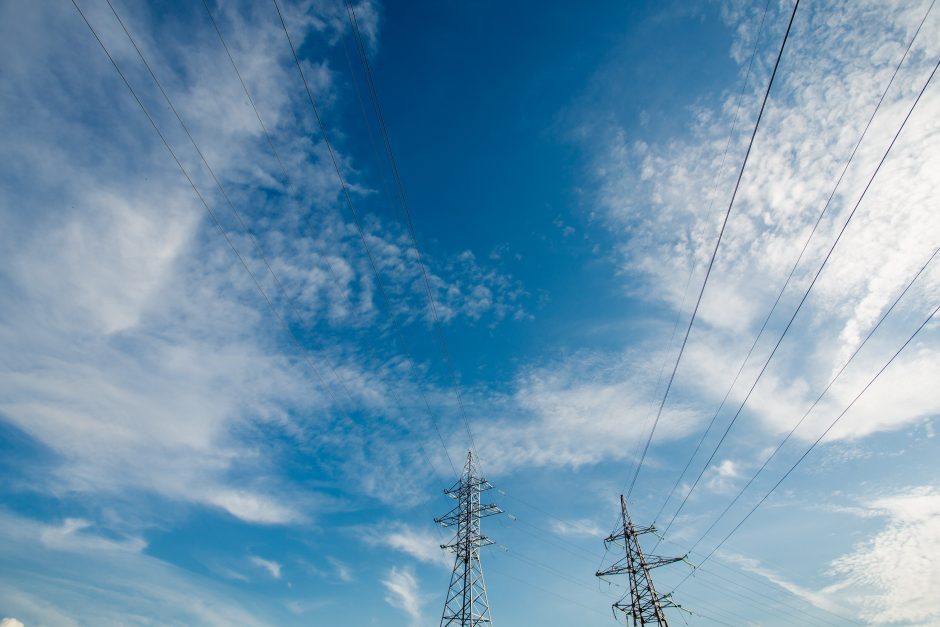 Įminta paslaptis, kodėl laukinė gyvūnija baidosi elektros linijų 