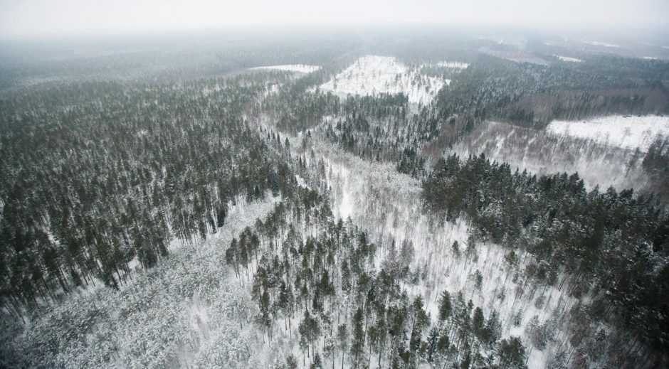 Brakonierius seks ir iš oro