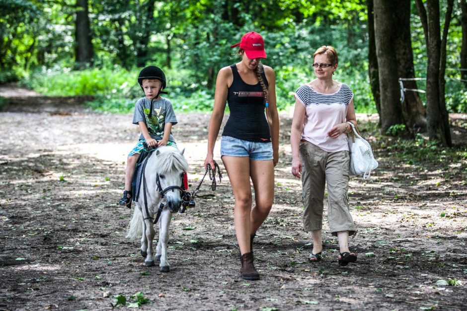 Žirgai moksleiviams bei studentams atstoja ir vakarėlius