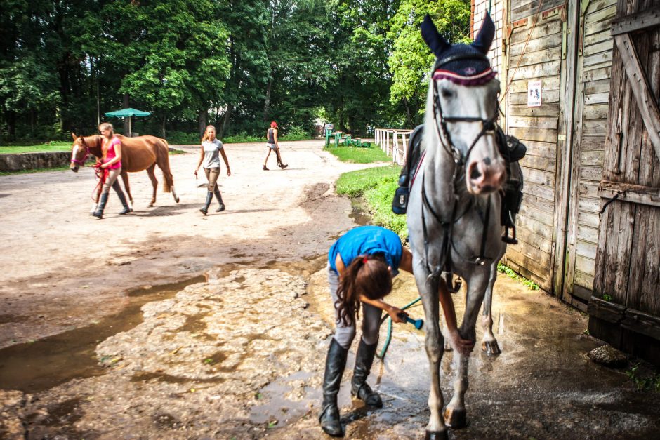 Žirgai moksleiviams bei studentams atstoja ir vakarėlius