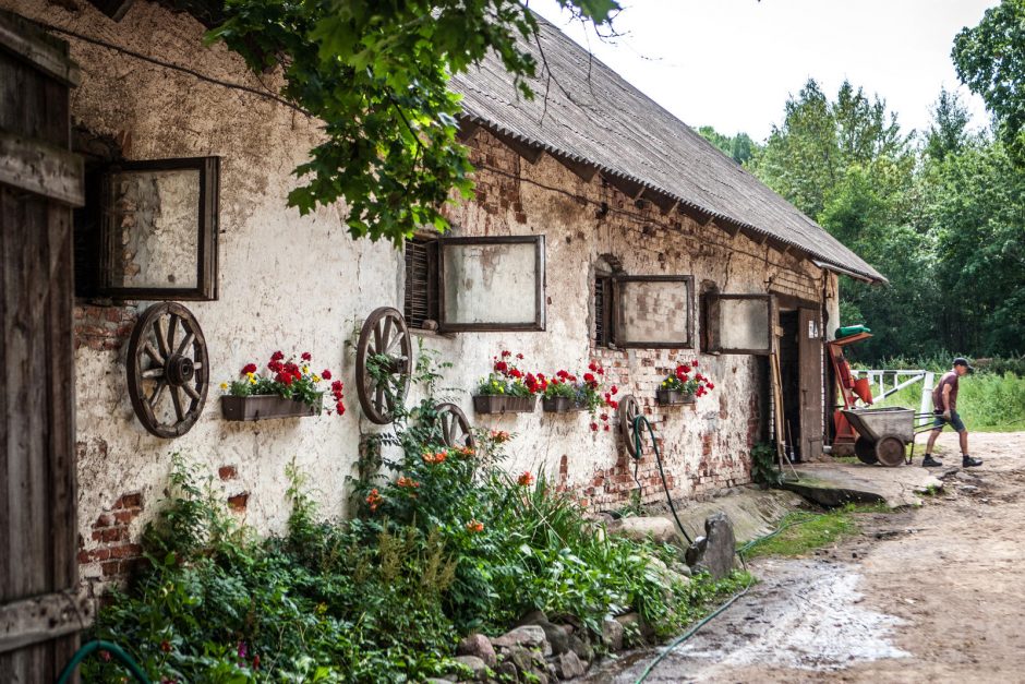 Žirgai moksleiviams bei studentams atstoja ir vakarėlius