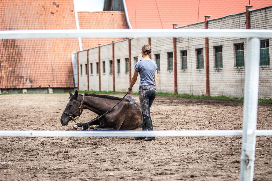 Žirgai moksleiviams bei studentams atstoja ir vakarėlius