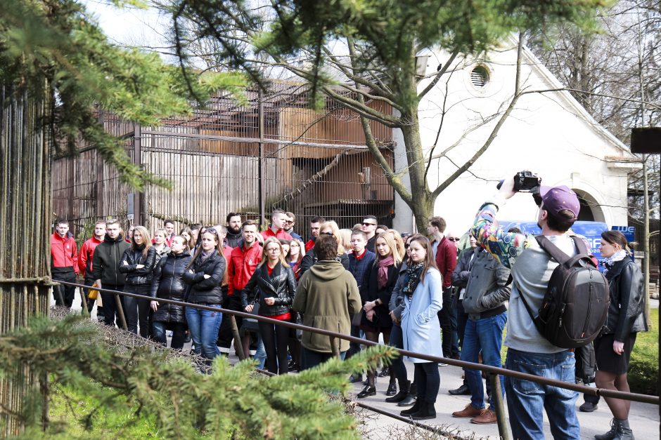 Zoologijos sodo gyvūnams – tūkstančius kilogramų sveriančios dovanos