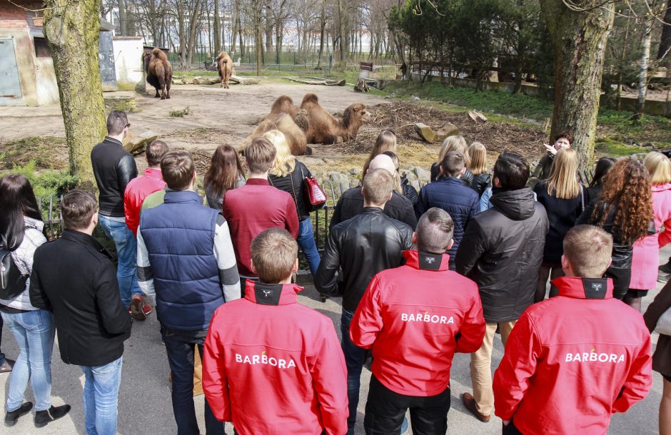 Zoologijos sodo gyvūnams – tūkstančius kilogramų sveriančios dovanos