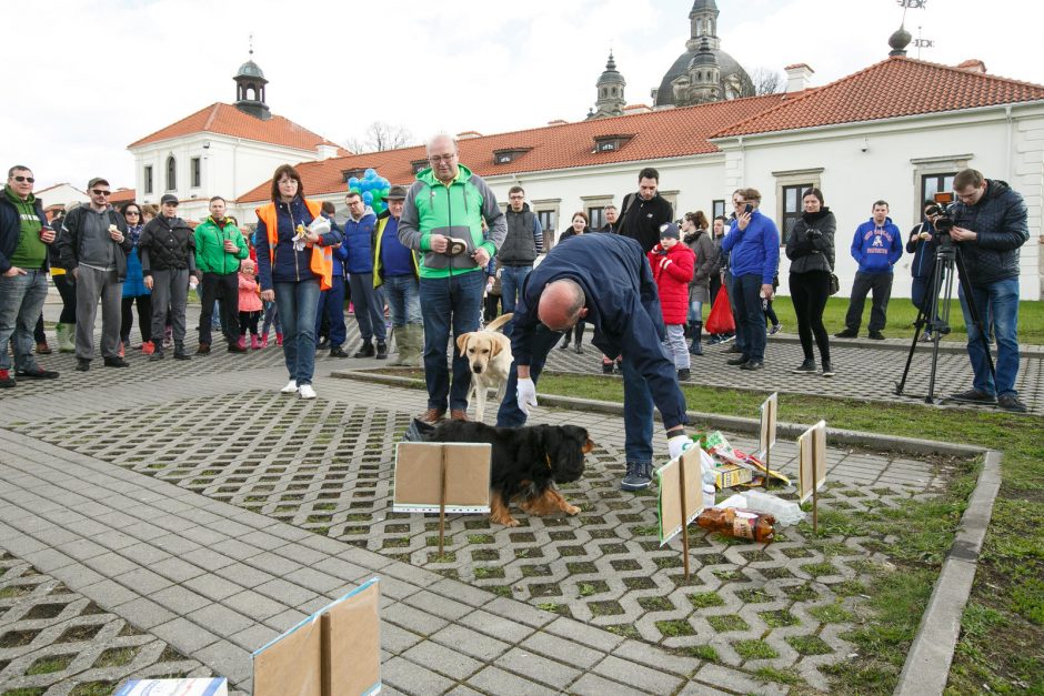 Ar Kaunui pavyko pasiekti rekordą?