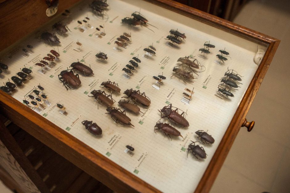 Zoologijos muziejų praturtino dar dvi vertingos kolekcijos