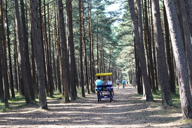 Palanga kviečia pajudėti – sporto entuziastams siūlo nekasdienes pramogas