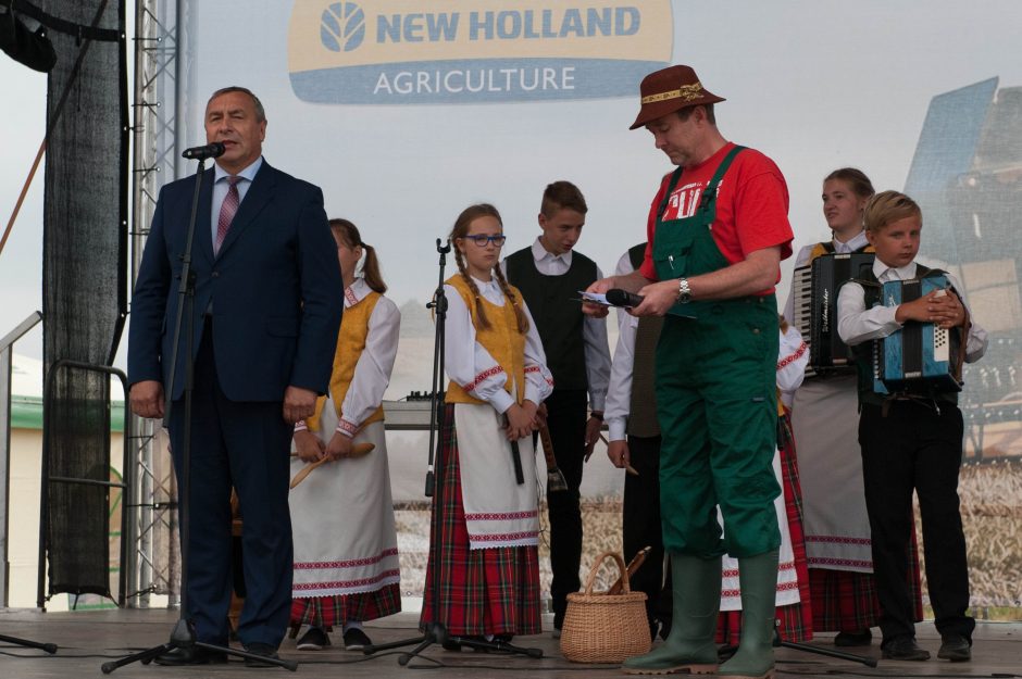 Javų derlius bus panašus kaip pernai?