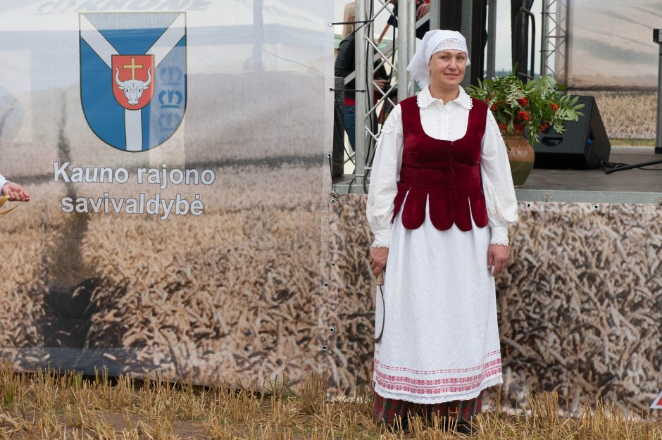 Javų derlius bus panašus kaip pernai?