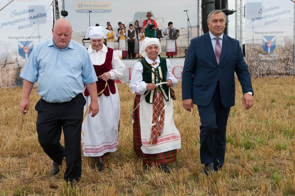 Javų derlius bus panašus kaip pernai?