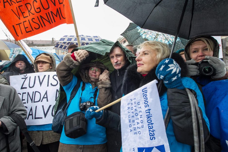 Prie Seimo mitinguotojai reikalavo didesnių algų ir pensijų