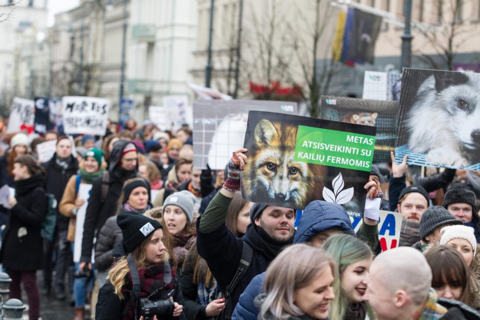 Gyvūnų gynėjai – prieš madą, dėl kurios žudoma