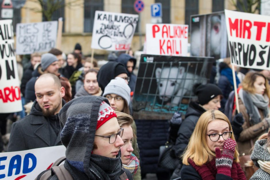 Gyvūnų gynėjai – prieš madą, dėl kurios žudoma