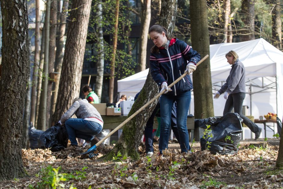 Akcija „Darom“: nustebino sostinės centre rastų batų galybė