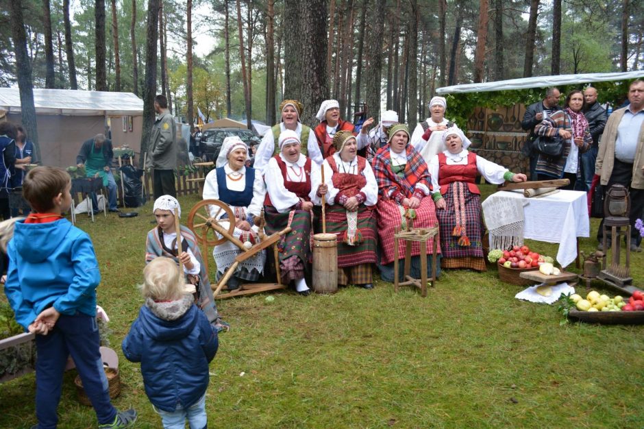 Ko šiemet tikėtis iš karališko dzūkų renginio – Grybų šventės?