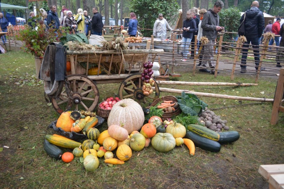 Ko šiemet tikėtis iš karališko dzūkų renginio – Grybų šventės?