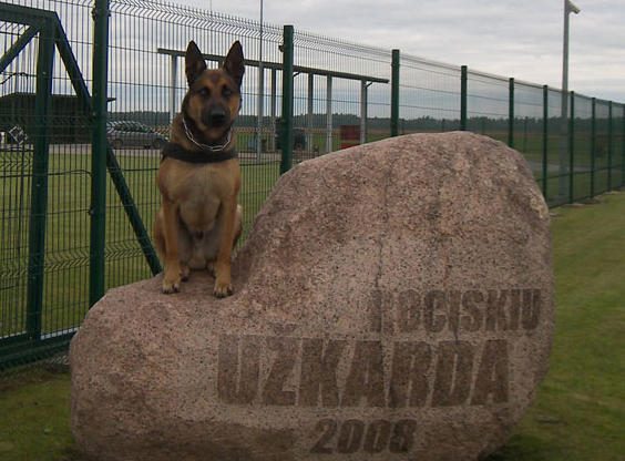 Garsiausias Pagėgių rinktinės šuo vėl sulaikė kontrabandininkus