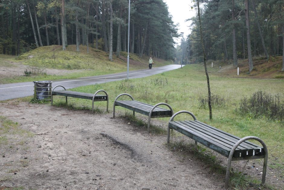 Paniką Klaipėdoje sėja nuodijami šunys