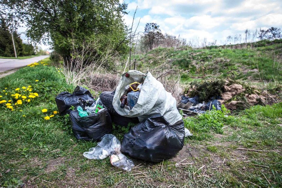 Didžiausi šiukšlintojai – privačių namų savininkai