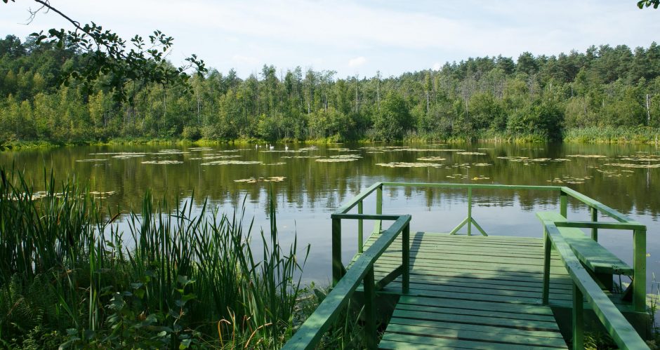 Druskininkai – užburianti gamtos ir žmonių vienovė