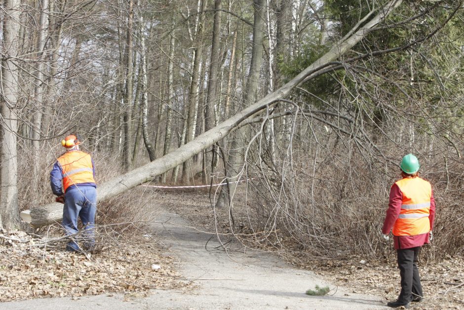 Uostamiesčio parkuose – naujos atrakcijos