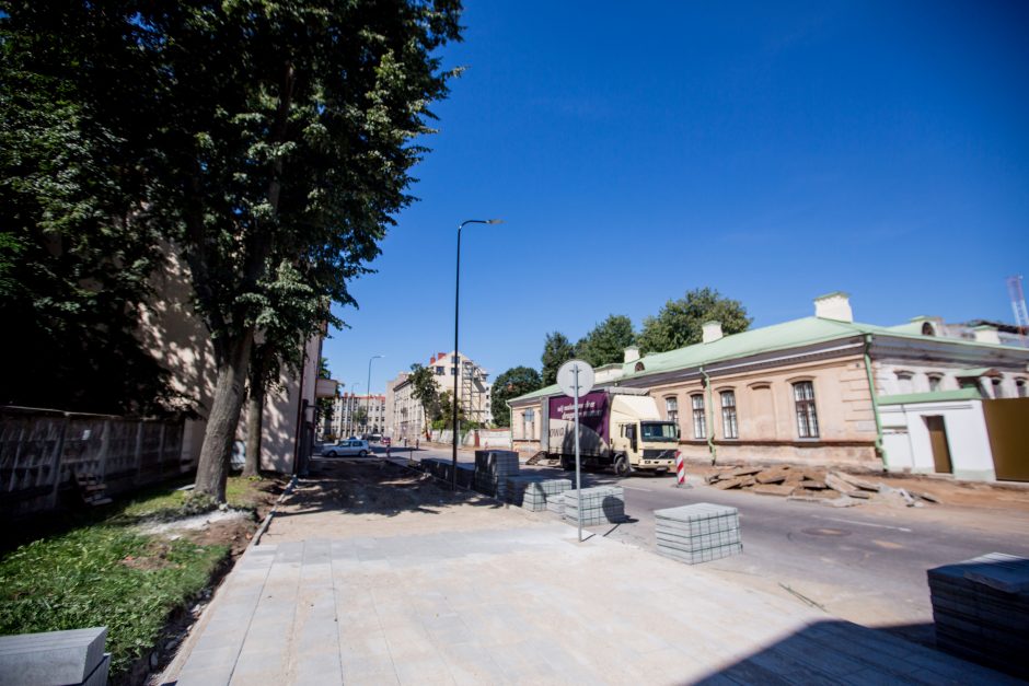 Kauniečiai protestuos dėl vištų ir medžių