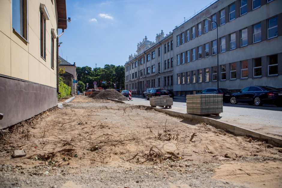 Kauniečiai protestuos dėl vištų ir medžių