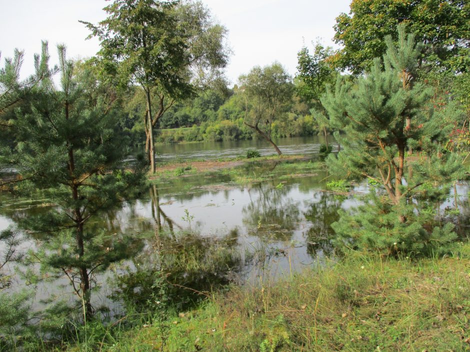 Patvinęs Nemunas užliejo dalį Panemunės paplūdimio