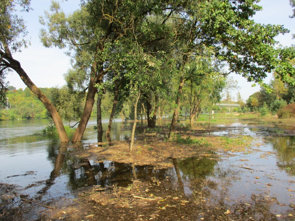 Patvinęs Nemunas užliejo dalį Panemunės paplūdimio