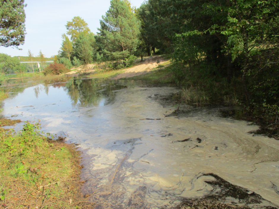 Patvinęs Nemunas užliejo dalį Panemunės paplūdimio