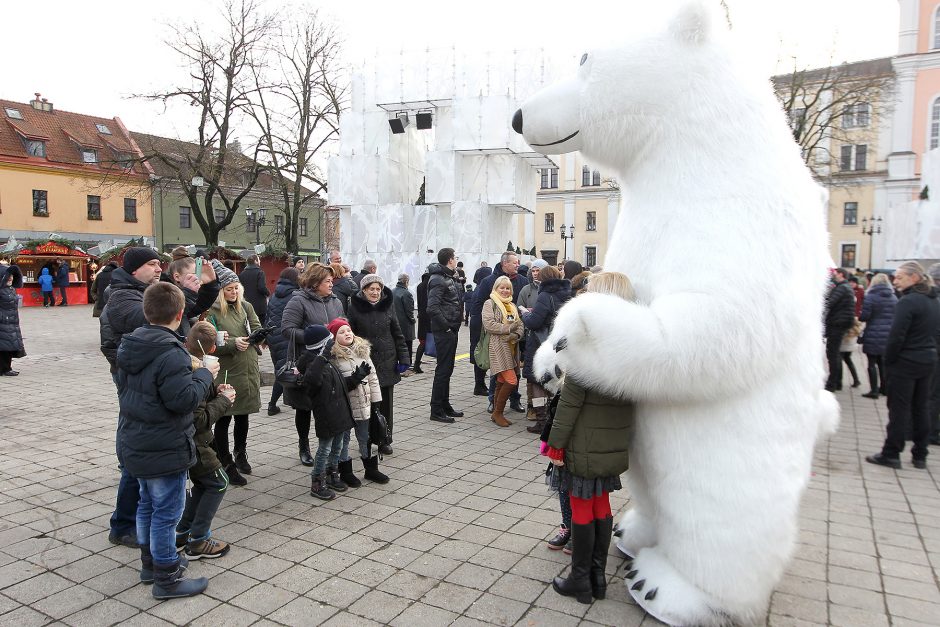 Prie Kalėdų eglės – kauniečių šurmulys