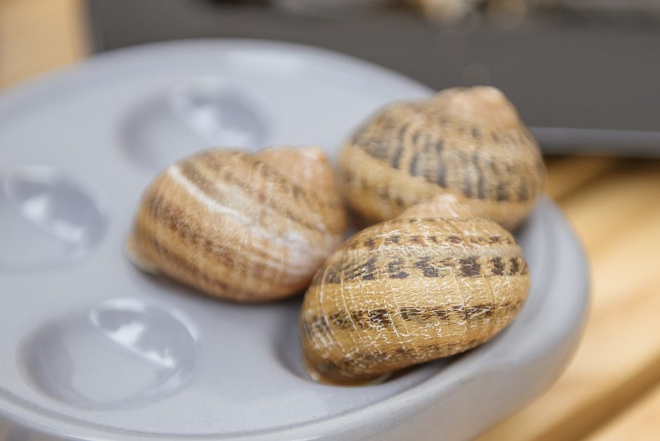 Žinomi kauniečiai Kazimiero mugėje ieško ir egzotikos, ir duonos kasdieninės 