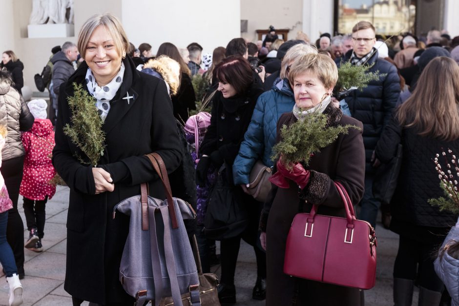 Visas katalikiškas pasaulis mini Verbų sekmadienį