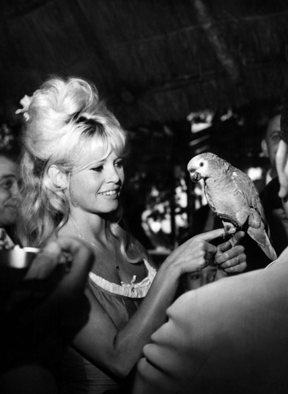 Ekrano deivei B. Bardot sukanka 80 metų