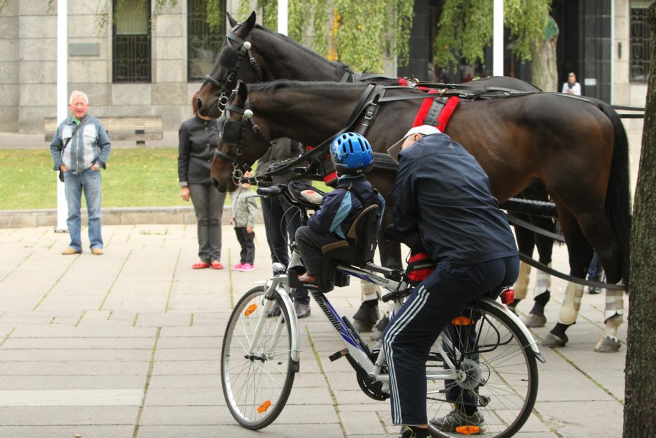 Parade – išskirtiniai dviračiai ir dalyviai