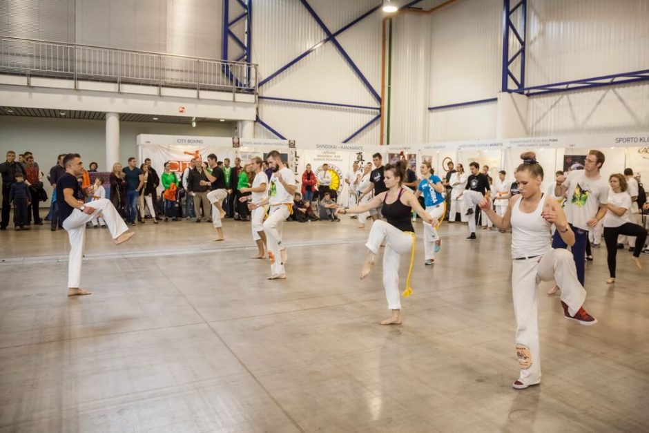 Vilniaus sporto festivalyje – veiklų ir renginių gausa