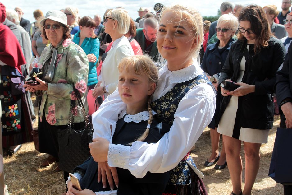 Padėka už darbus: atidengtas signataro J. Vailokaičio paminklas