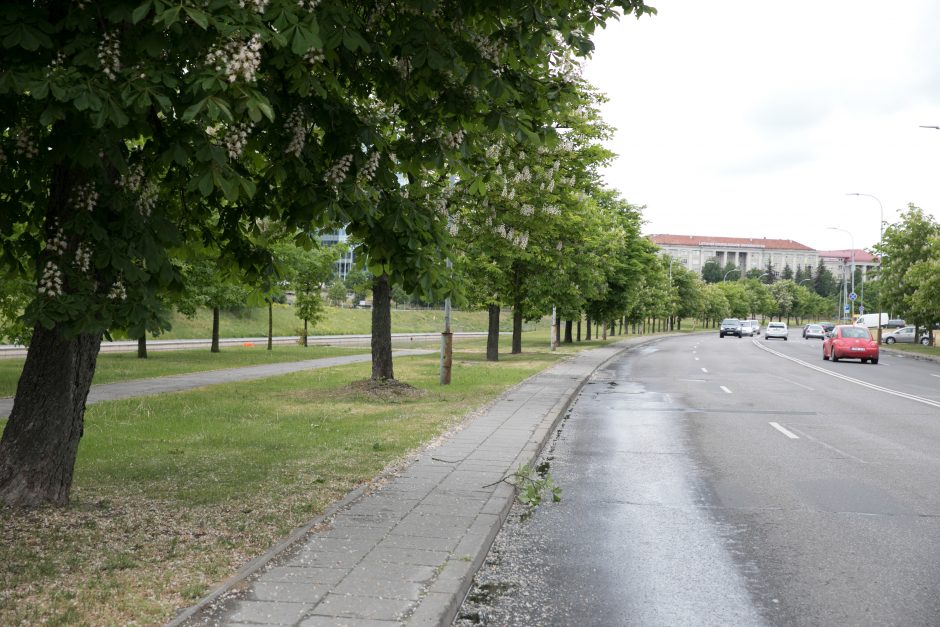Vilniaus centre – daugiau stovėjimo vietų