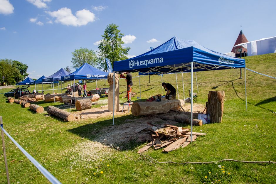 Į šventinį šurmulį įsijungė ir geriausių meistrų pjūklų dūzgimas