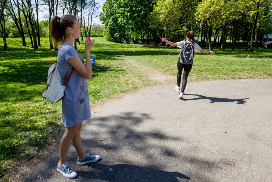 Rotušės aikštėje - istorinis sūris ir dar senesnius laikus menanti duona