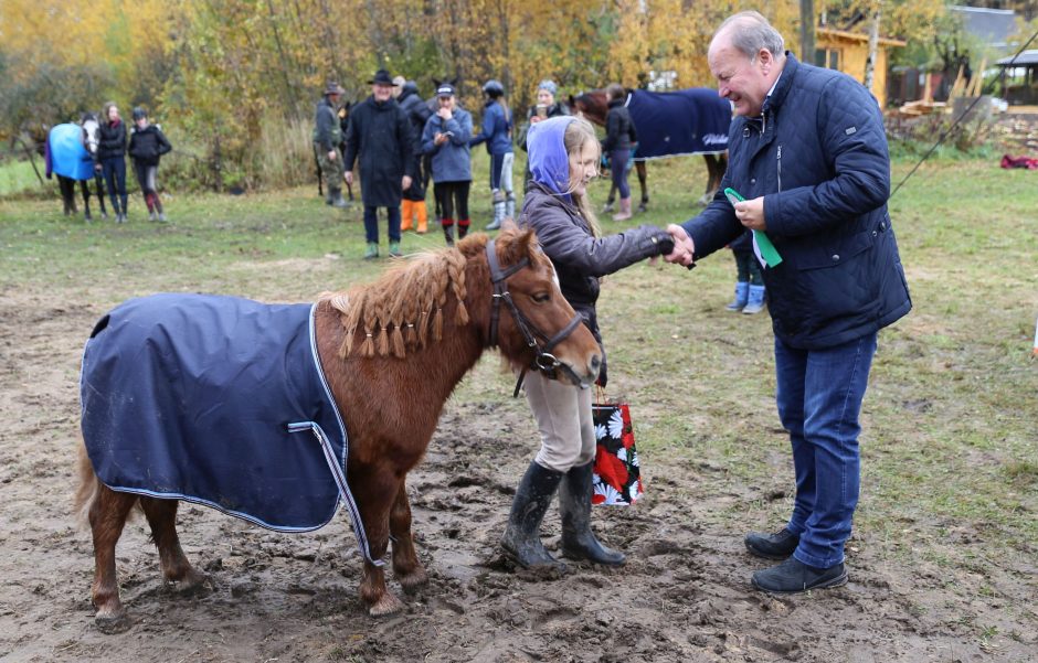 Žiegždrių pamiškėmis lenktyniavo legendiniai žemaitukai