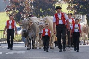 Šveicarijos gyventojų skaičius perkopė devynis milijonus